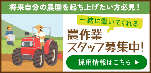 将来自分の農園を立ち上げたい方必見!一緒に働いてくれる農作業スタッフ募集中! 採用情報はこちら